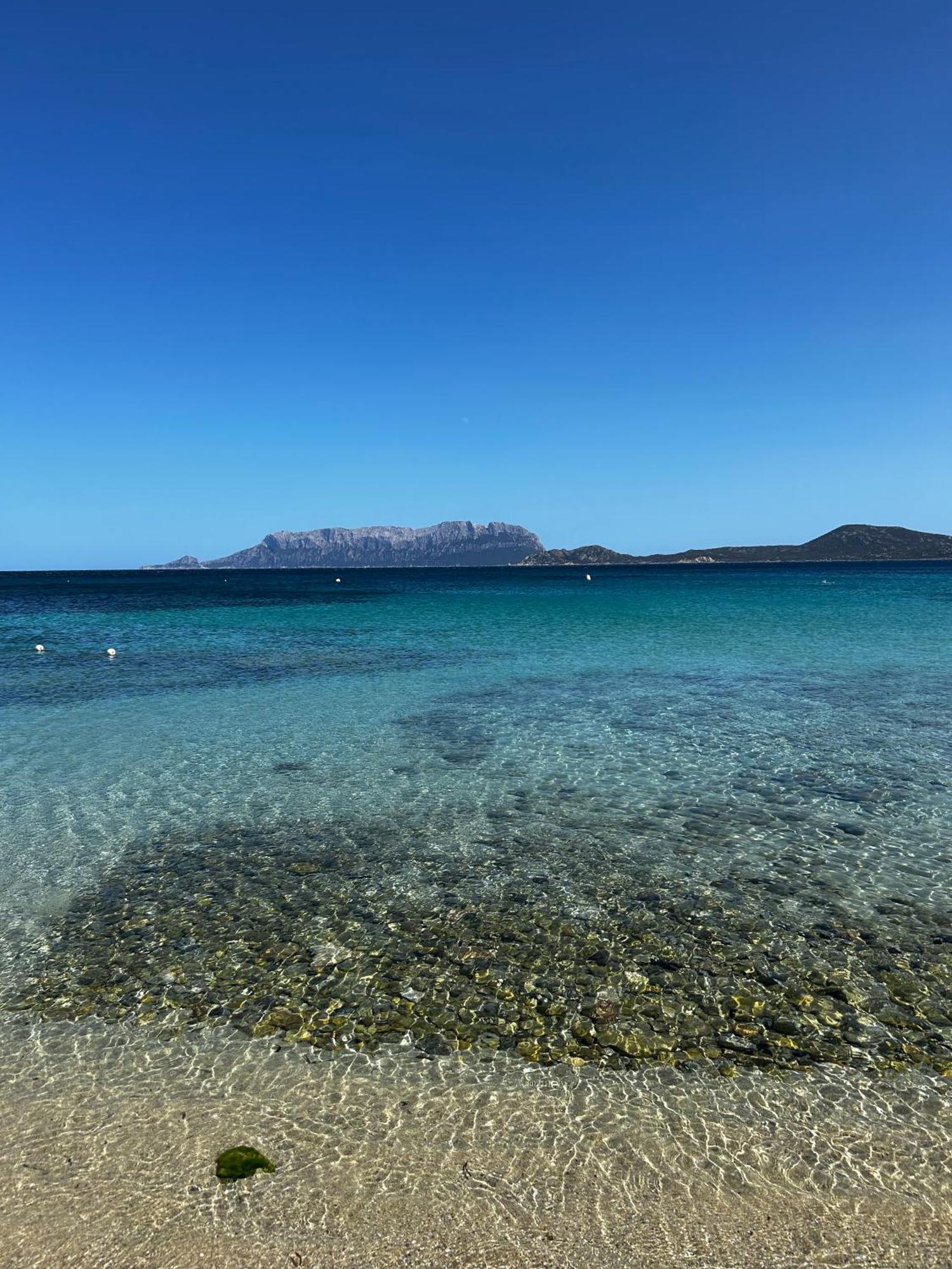 Villa Ulivo Olbia Luaran gambar